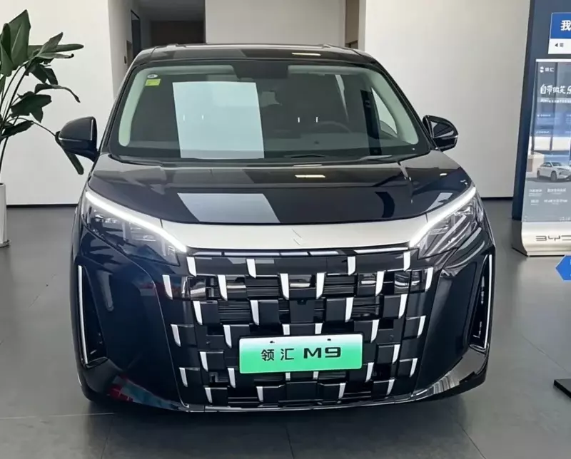 Phiên bản chạy dịch vụ với giá rẻ hơn của BYD M9 cập bến đại lý, chờ ngày bán ra - Ảnh 2. Phiên bản chạy dịch vụ với giá rẻ hơn của BYD M9 cập bến đại lý, chờ ngày bán ra - Ảnh 2.