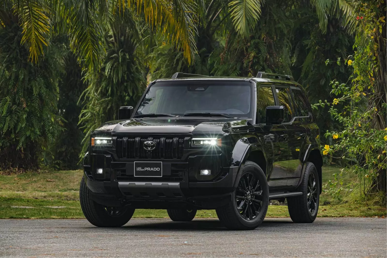 ngoai-that-2-3364 Toyota triệu hồi hơn 500 xe Land Cruiser Prado tại Việt Nam do lỗi phần mềm bảng đồng hồ - Ảnh 1.