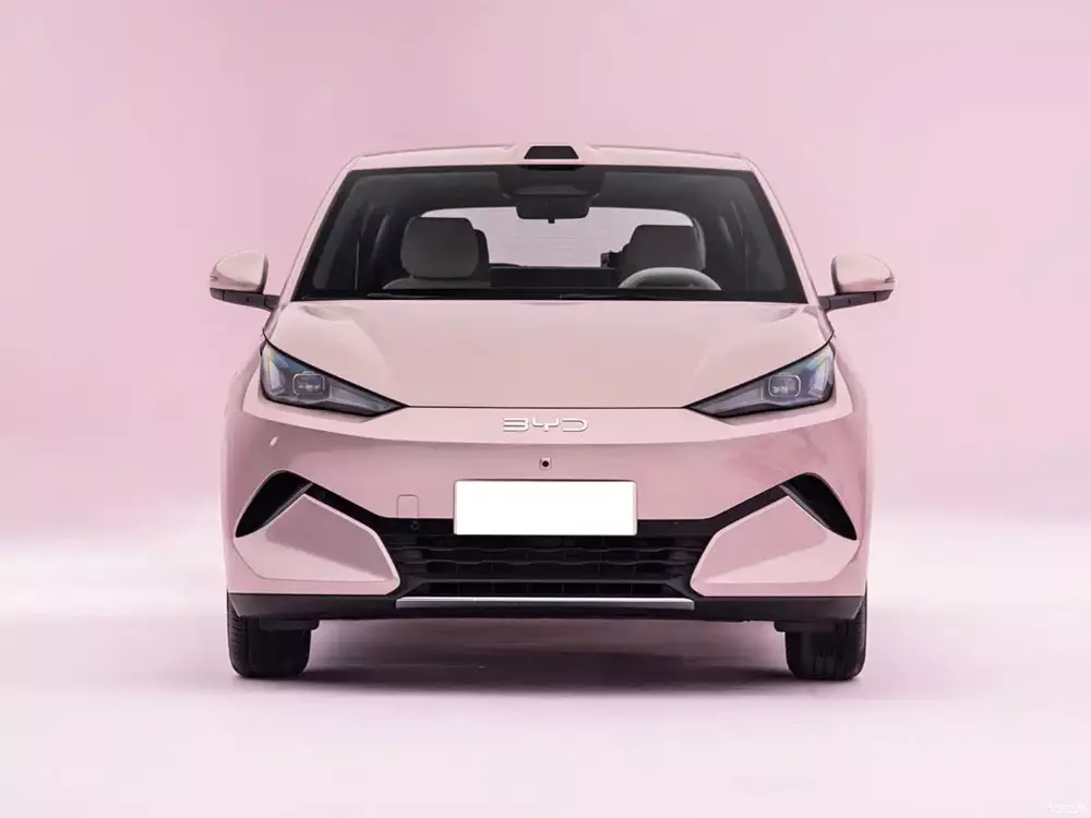BYD Seagull thế hệ mới chuyển sang hệ dẫn động cầu sau, bổ sung khoang hành lý phía trước - Ảnh 3.