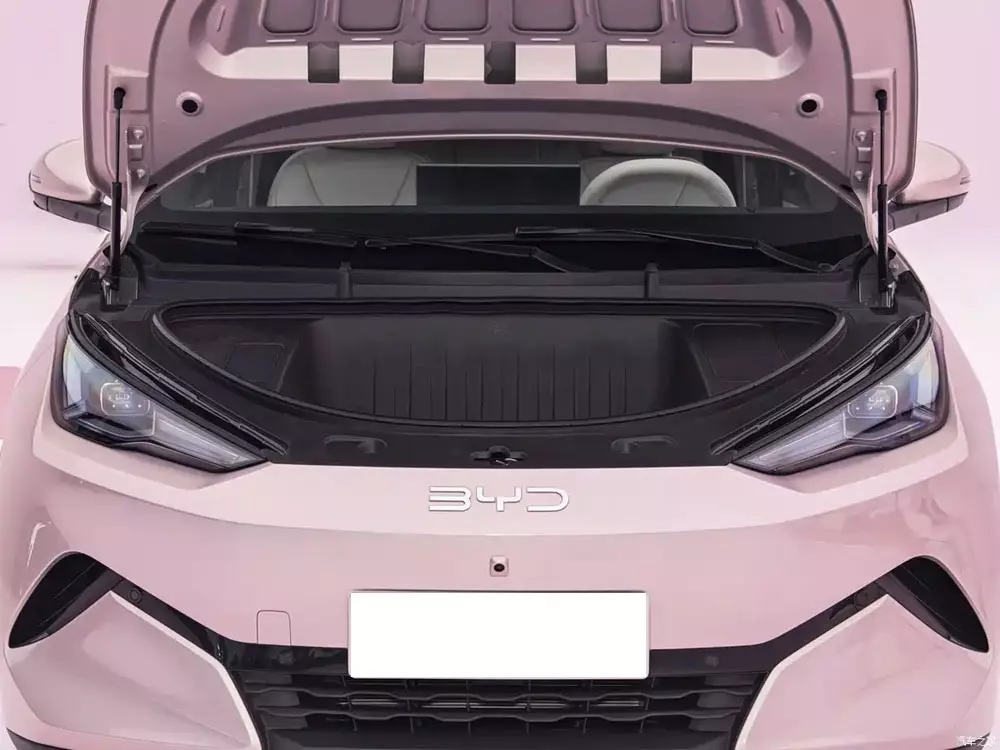 BYD Seagull thế hệ mới chuyển sang hệ dẫn động cầu sau, bổ sung khoang hành lý phía trước - Ảnh 2.