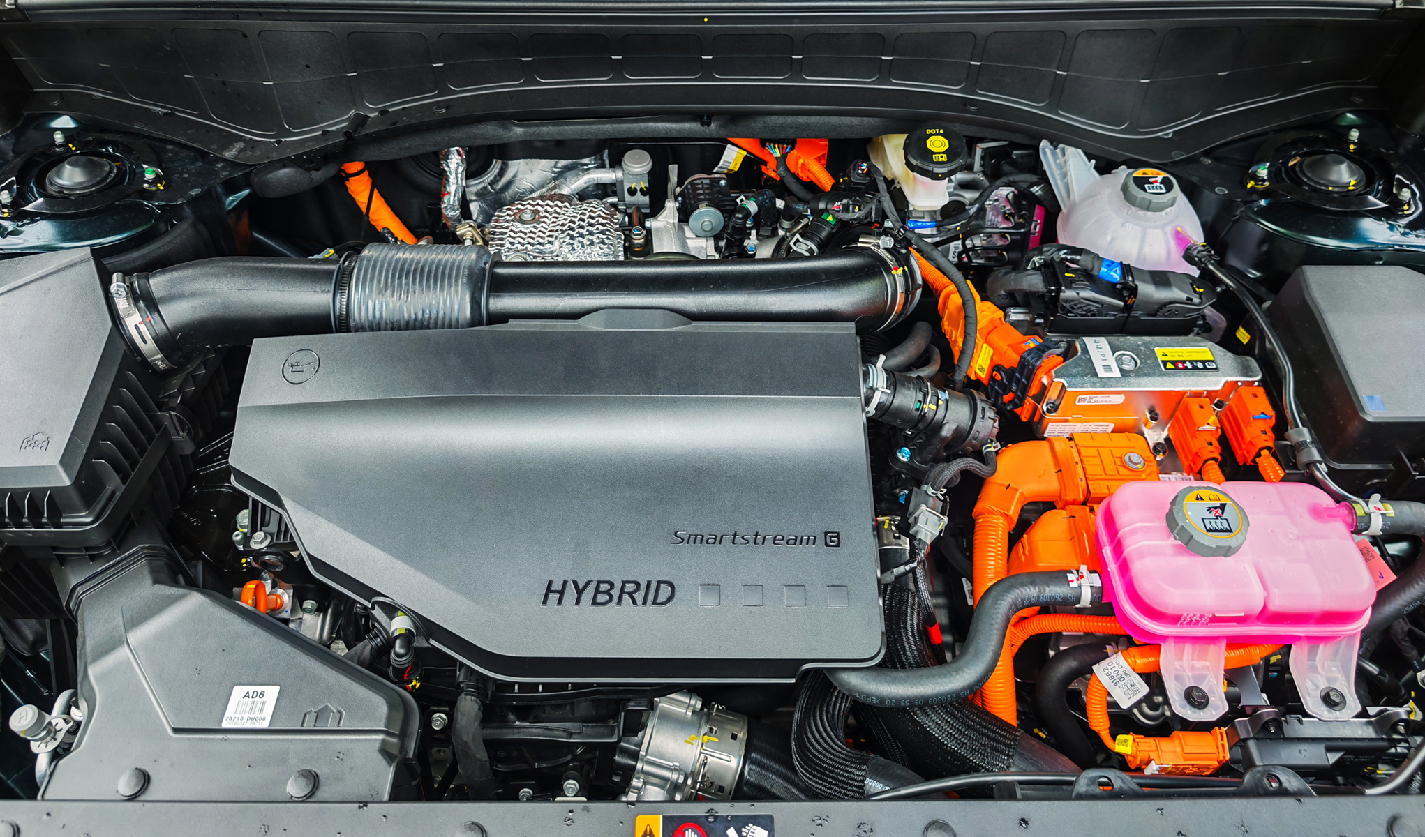 Palisade Hybrid_15.jpg Palisade Hybrid_15.jpg